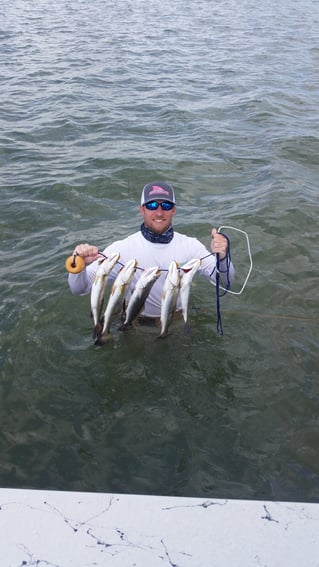 Bay and Jetty Fishing