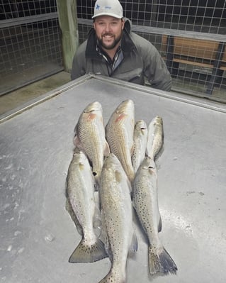 Gator Trout Trip