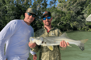 Snook Fishing in Tavernier, Florida