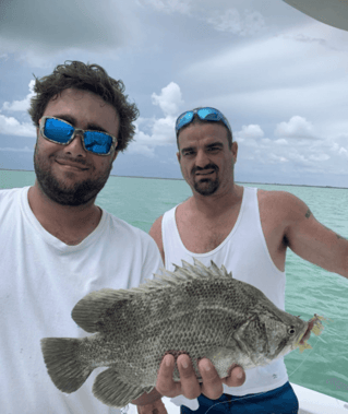 Tripletail Fishing in Tavernier, Florida