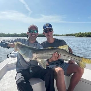 Snook Fishing in Naples, Florida