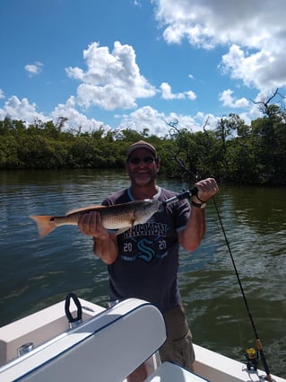 Redfish Fishing in Naples, Florida