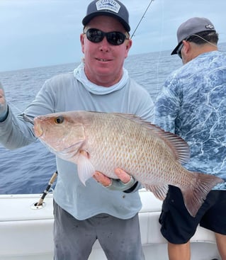 Mangrove Snapper Fishing in Marco Island, Florida