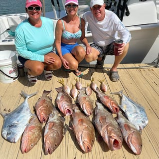 Permit, Red Grouper Fishing in Marco Island, Florida