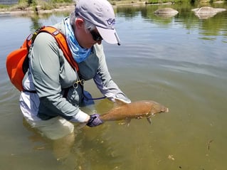 On Water Fly Fishing Lessons