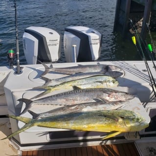 Riviera Beach Fishing