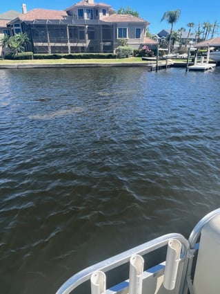 Tarpon Springs Intercoastal Trip