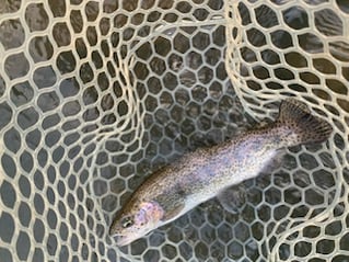 Lower Mountain Fork River