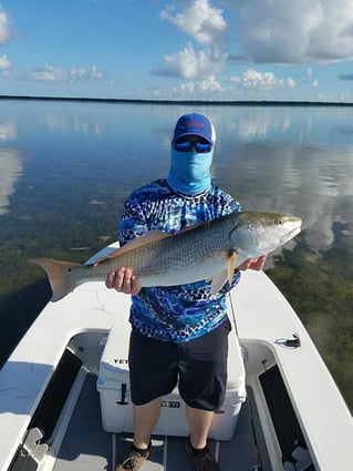 Redfish Fishing in Key Largo, Florida