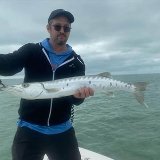 Barracuda Fishing in Islamorada, Florida