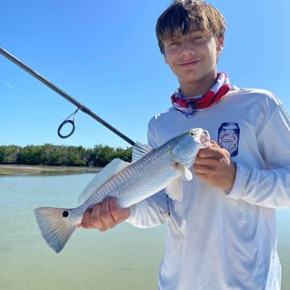 Redfish Fishing in Islamorada, Florida