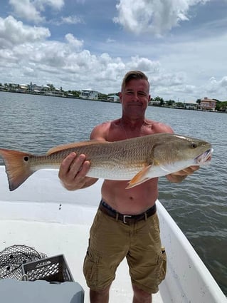 Redfish Fishing in Fort Myers Beach, Florida