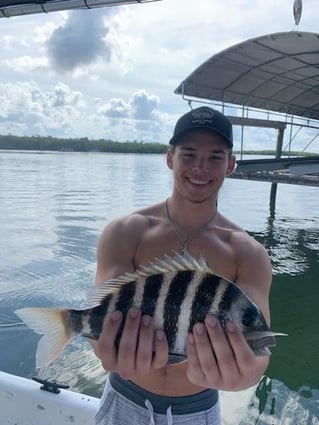 Sheepshead Fishing in Fort Myers Beach, Florida