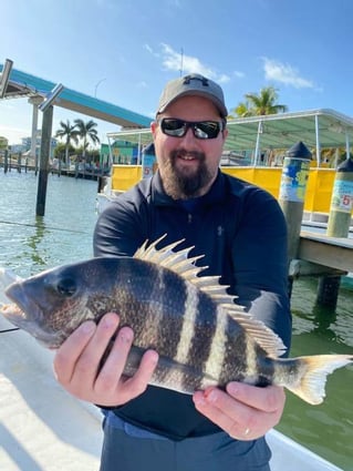 Sheepshead Fishing in Fort Myers Beach, Florida