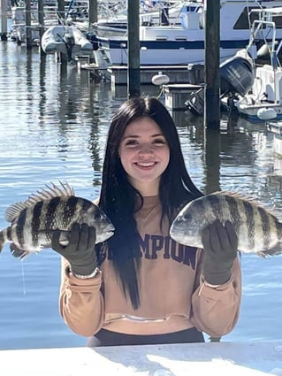 Sheepshead Fishing in Fort Myers Beach, Florida