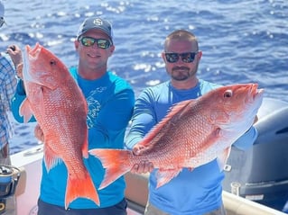 Red Snapper Fishing in Cape Coral, Florida