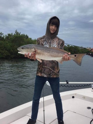 Redfish Fishing in Bokeelia, Florida