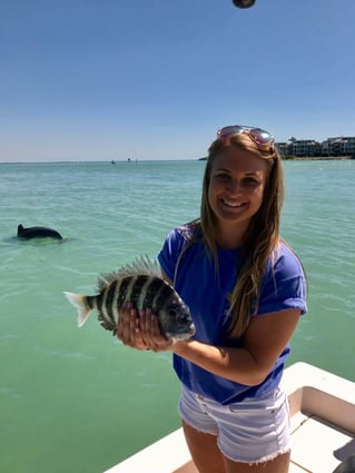 Sheepshead Fishing in Bokeelia, Florida