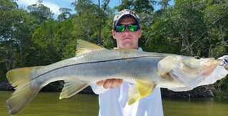 Snook Fishing in Cape Coral, Florida