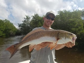 Redfish Fishing in Cape Coral, Florida