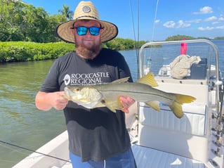 Snook Fishing in Sarasota, Florida