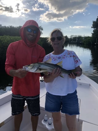 Snook Fishing in Sarasota, Florida