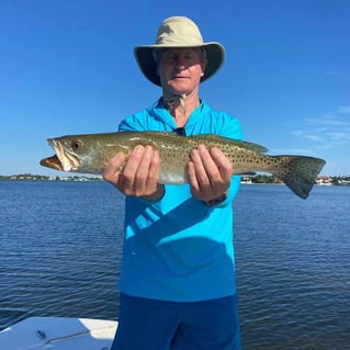 Speckled Trout Fishing in Sarasota, Florida