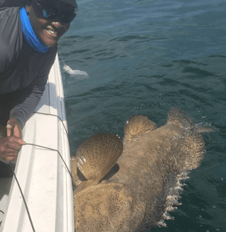 Fort Myers Inshore Angling