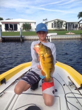 Peacock Bass Fishing in Fort Lauderdale, Florida