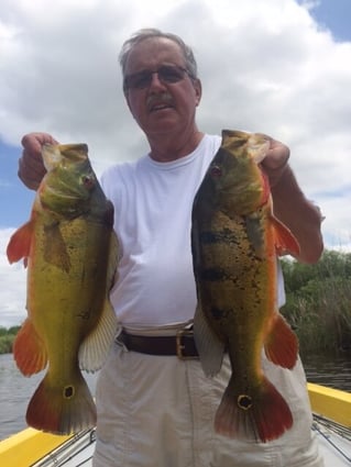 Peacock Bass Fishing in Fort Lauderdale, Florida