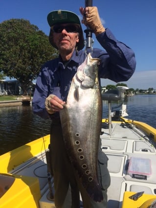 Clown Knifefish Fishing in Fort Lauderdale, Florida