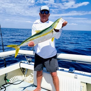 Yellowtail Amberjack Fishing in San Diego, California