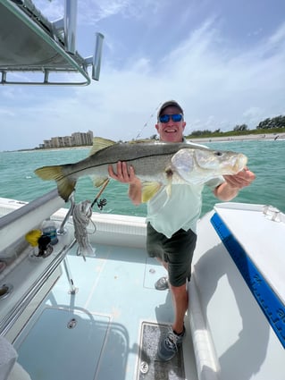 Loxahatchee River Snook