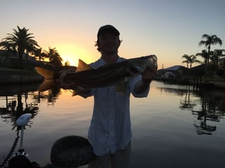 Fishing Nirvana in Boca Grande