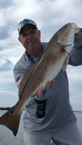 Redfish Fishing in Hudson, Florida