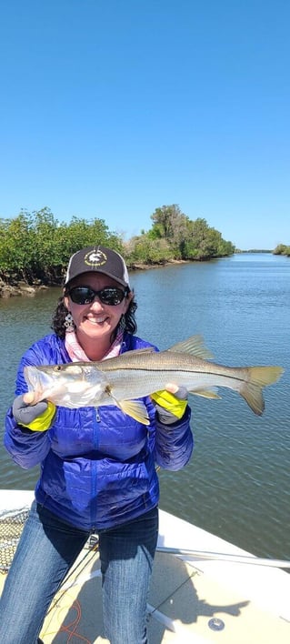 Snook Fishing in Hudson, Florida