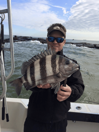 Sheepshead Fishing in Galveston, Texas