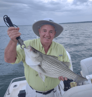 Hybrid Striped Bass Fishing in Runaway Bay, Texas