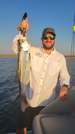 Tarpon Fishing in Corpus Christi, Texas