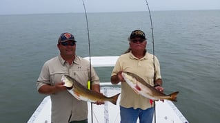 Full Day or Half-day Fishing Trip