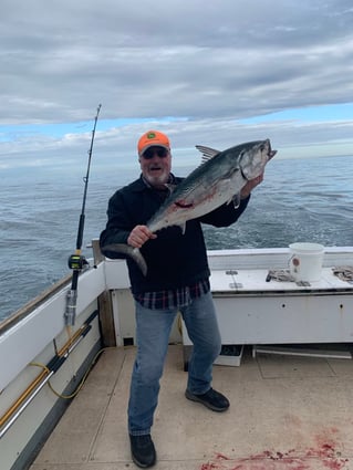 False Albacore Fishing in Morehead City, North Carolina