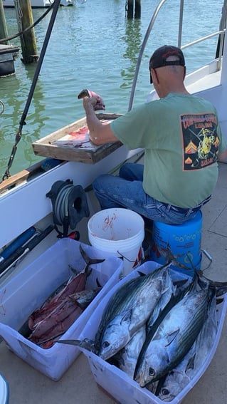 Bonito Fishing in Morehead City, North Carolina