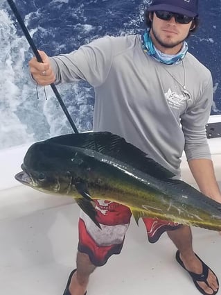 Mahi Mahi Fishing in Pompano Beach, Florida