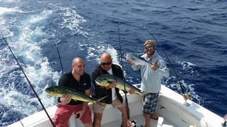 Mahi Mahi Fishing in Pompano Beach, Florida