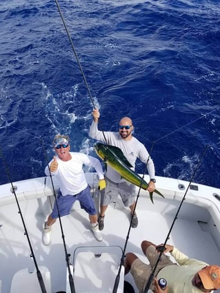 Mahi Mahi Fishing in Pompano Beach, Florida