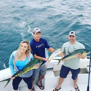 Mahi Mahi Fishing in Pompano Beach, Florida