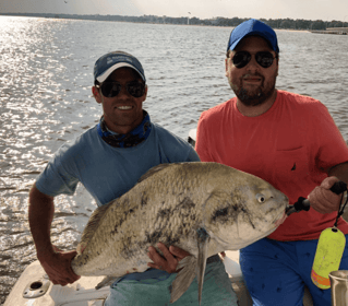 Black Drum Fishing in Biloxi, Mississippi