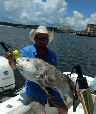 Black Drum Fishing in Biloxi, Mississippi