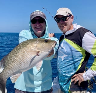 Mangrove Snapper Fishing in Key West, Florida