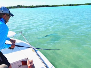 Key West on Light Tackle & Flies